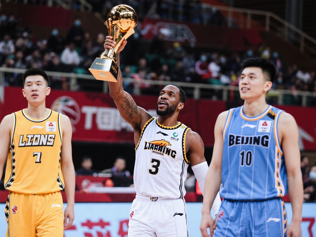 职业化进程 职业化进程